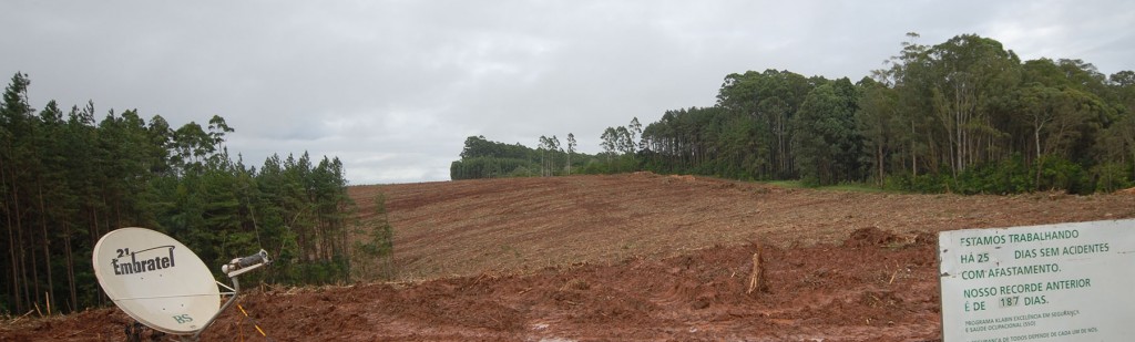 A recently harvested block free of debris with very little soil disturbance.