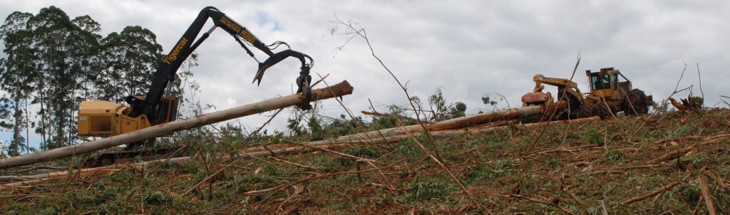 In this application the LS855C is working with the skidder – forwarding trees from a steep section in the back of the block to the 625C.