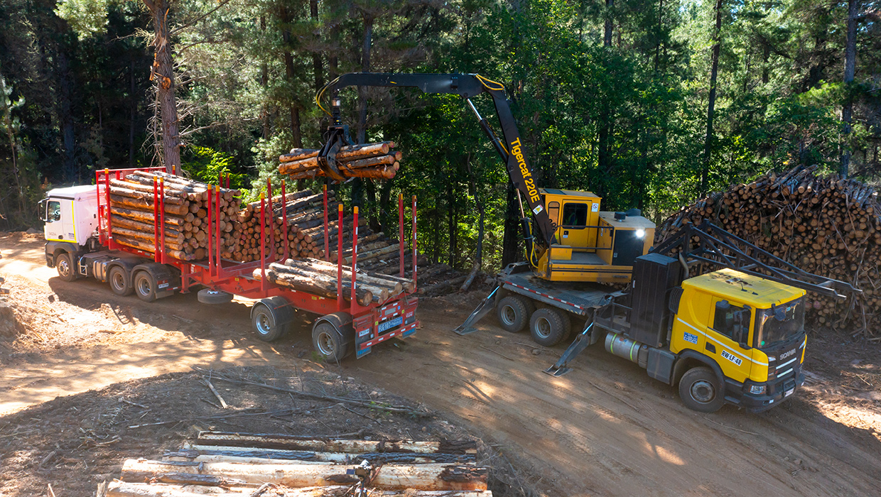 Mackolines Machines & Hire 220E lifts a load of cut-to-length logs onto a log truck.