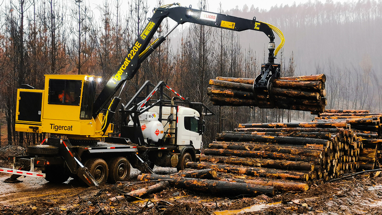 Mackolines Machines & Hire 220E lifts a load of cut-to-length logs onto a log truck.