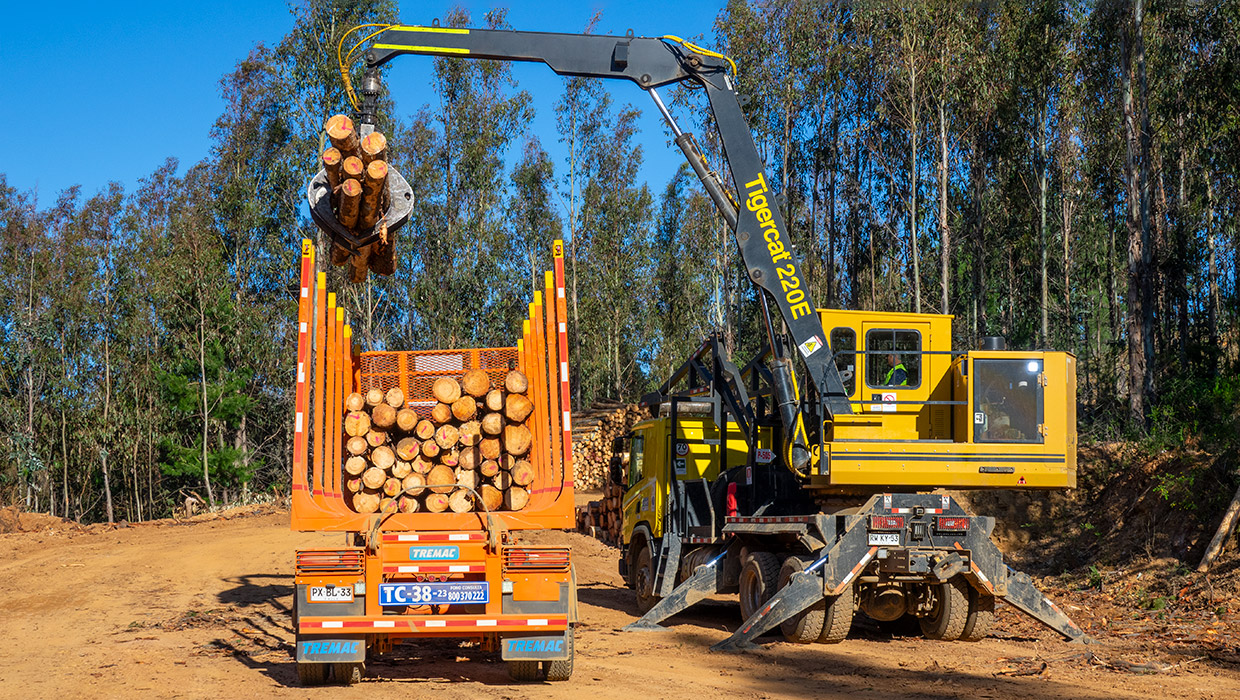 Mackolines Machines & Hire 220E lifts a load of cut-to-length logs onto a log truck.