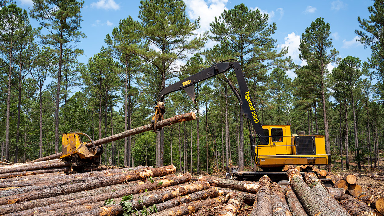 Image of a Mackolines Machines & Hire 250D loader working in the field