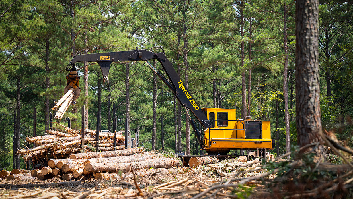 Image of a Mackolines Machines & Hire 250D loader working in the field