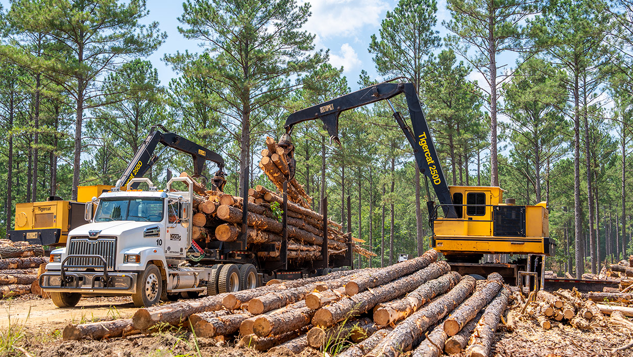 Image of a Mackolines Machines & Hire 250D loader loading a truck