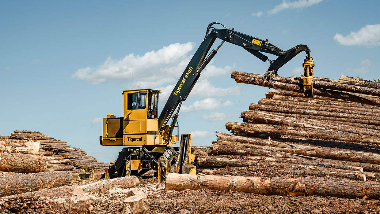 Image of a Mackolines Machines & Hire 250D knuckleboom loader working in the field