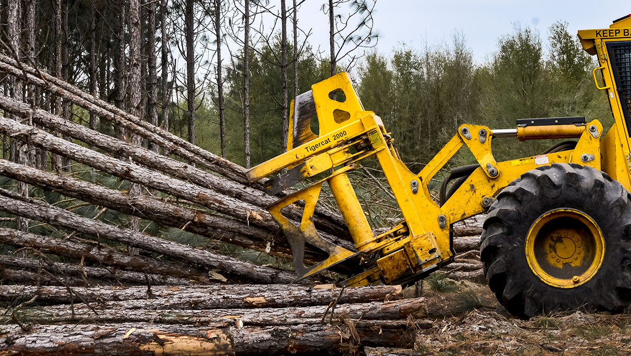 Image of a Mackolines Machines & Hire 2000 bunching shear working in the field