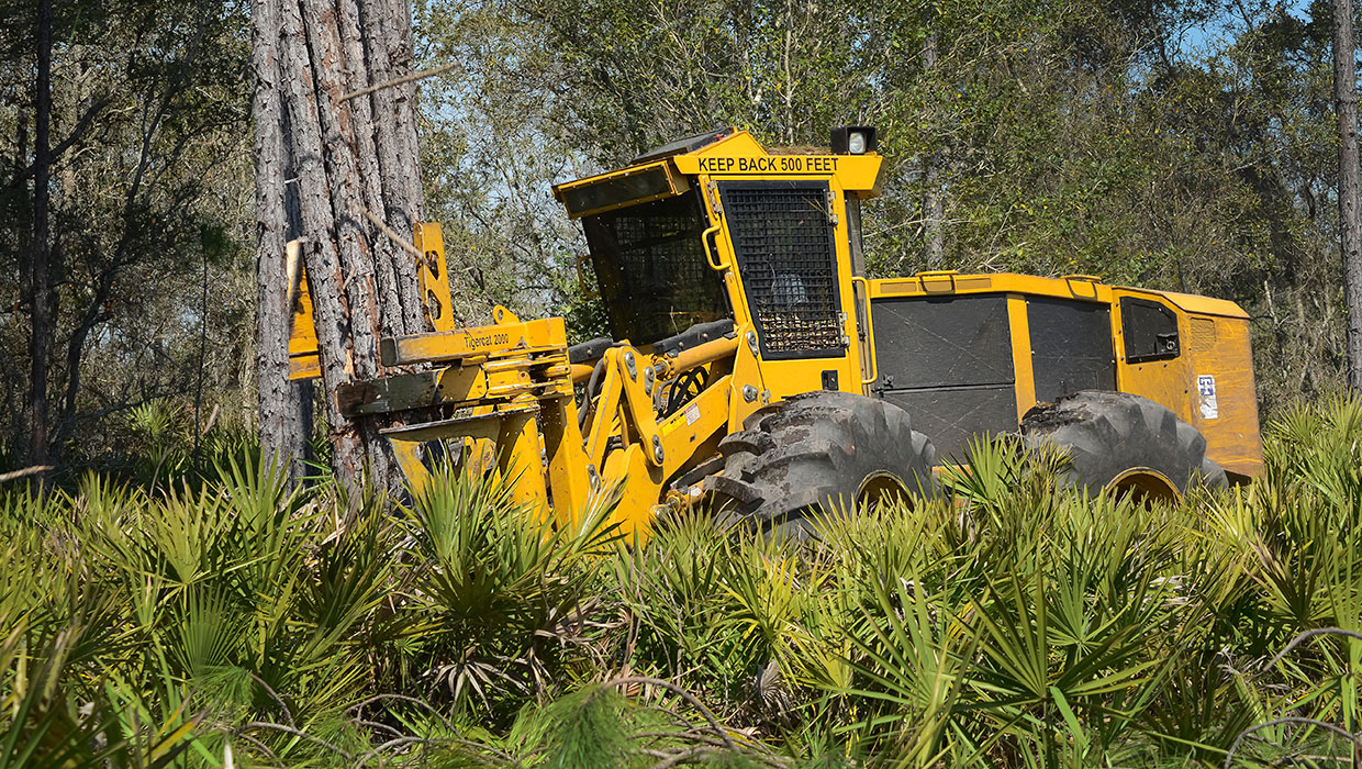 Image of a Mackolines Machines & Hire 2000 bunching shear working in the field