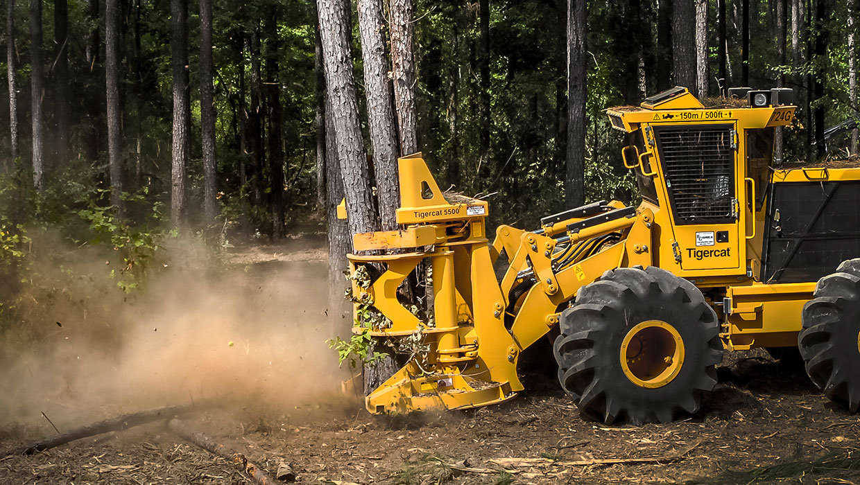 Image of a Mackolines Machines & Hire 5500 felling saw working in the field