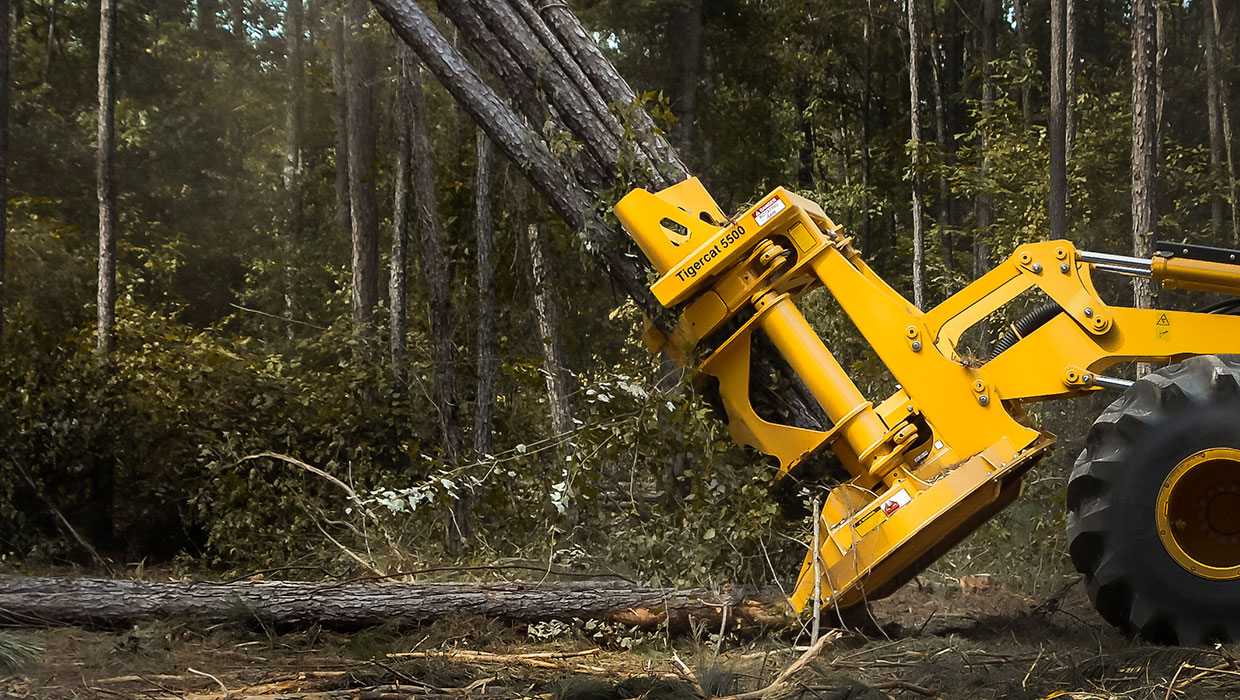 Image of a Mackolines Machines & Hire 5500 felling saw working in the field