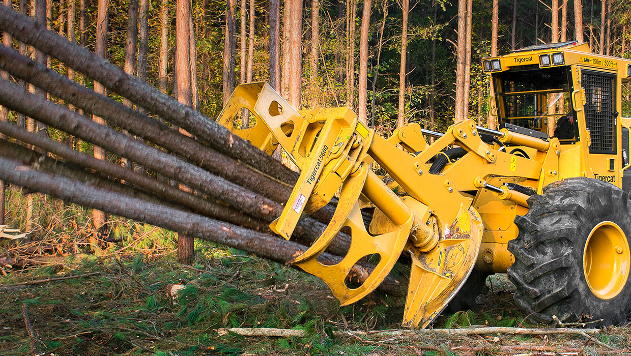 Image of a Mackolines Machines & Hire 5600 bunching saw working in the field