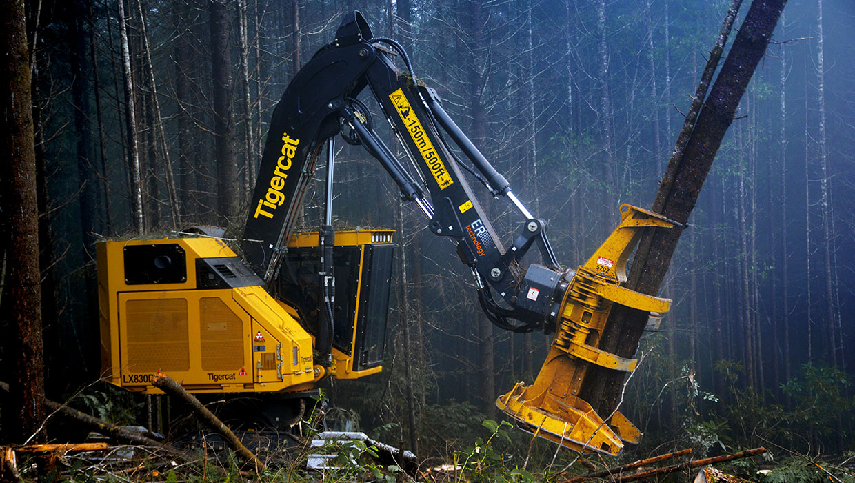 Image of a Mackolines Machines & Hire 5702 felling saw working in the field