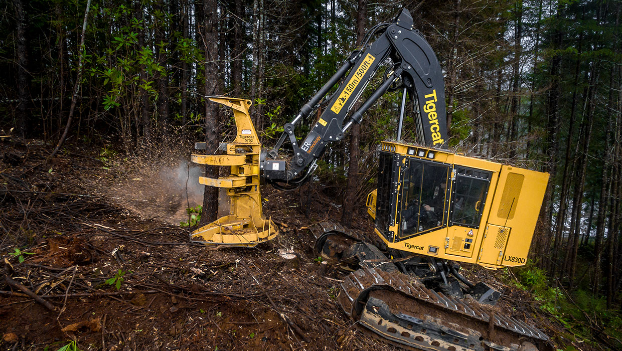 Image of a Mackolines Machines & Hire 5702 felling saw working in the field