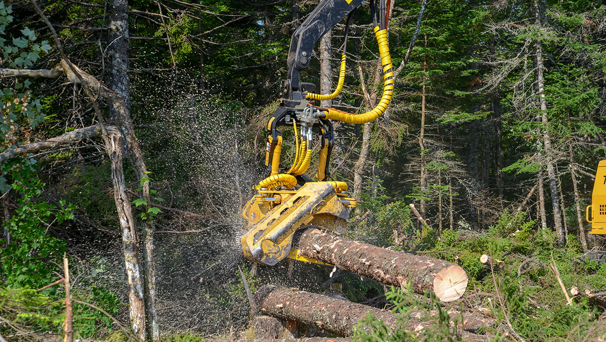 Image of a Mackolines Machines & Hire 575 harvesting head working in the field