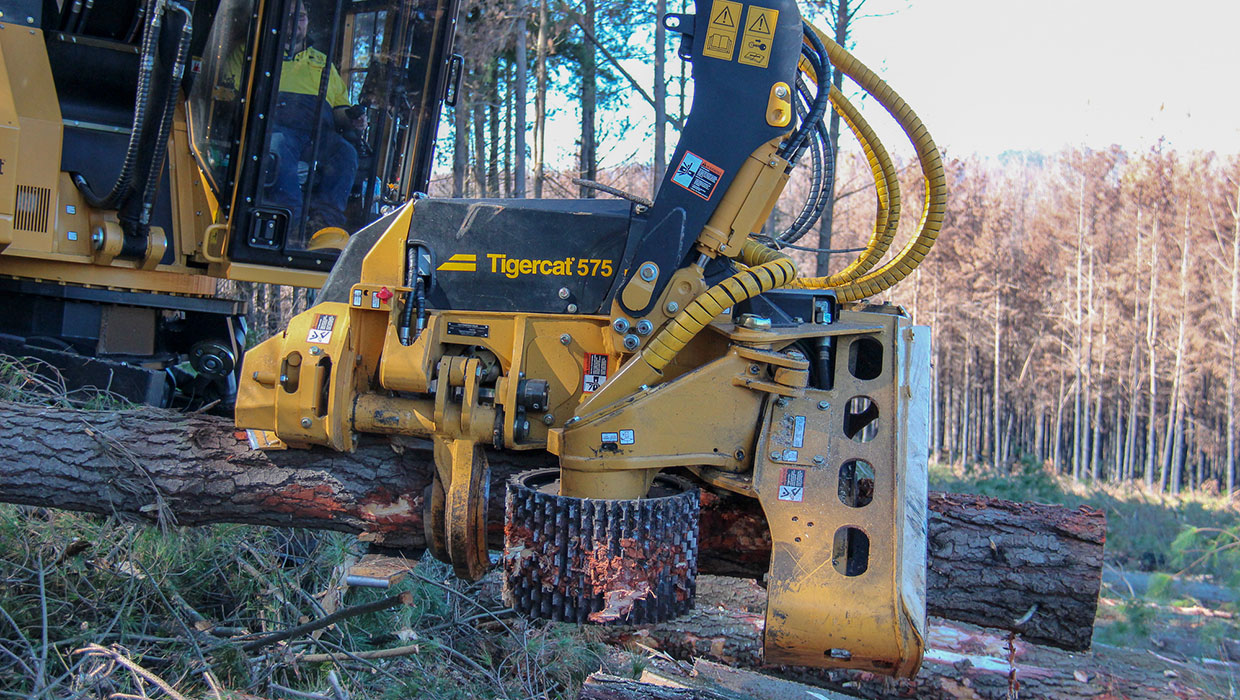 Image of a Mackolines Machines & Hire 575 harvesting head working in the field