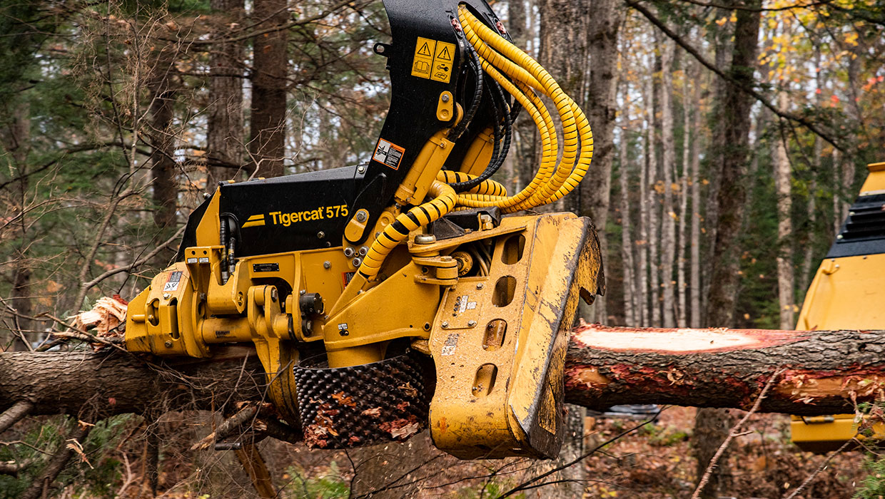 Image of a Mackolines Machines & Hire 575 harvesting head working in the field