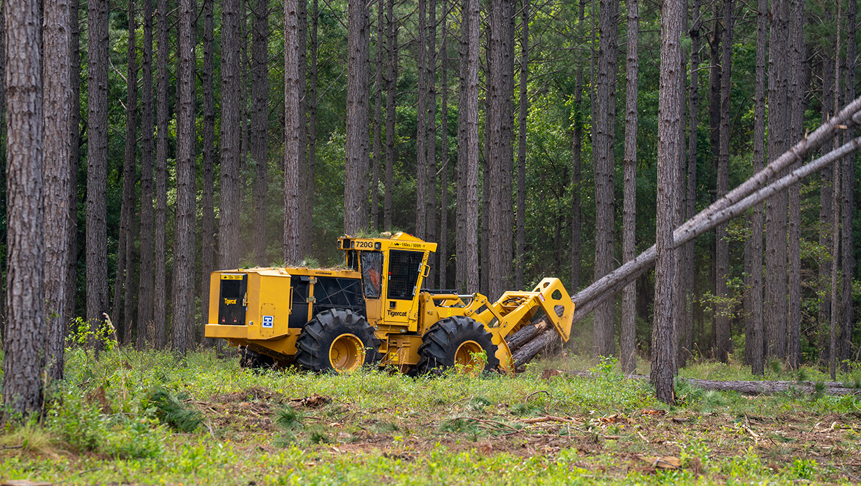 Image of a Mackolines Machines & Hire 720G wheel feller buncher working in the field.