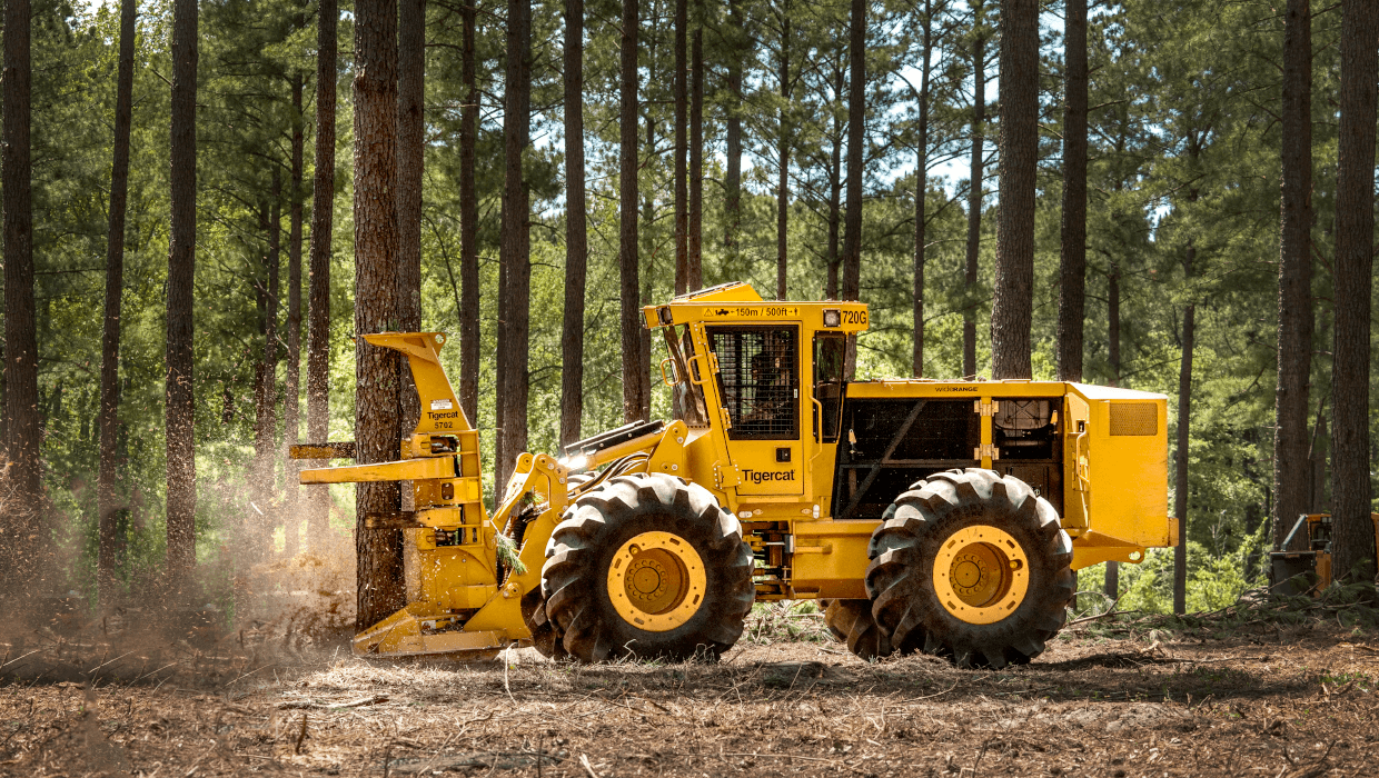 Image of a Mackolines Machines & Hire 720G wheel feller buncher working in the field