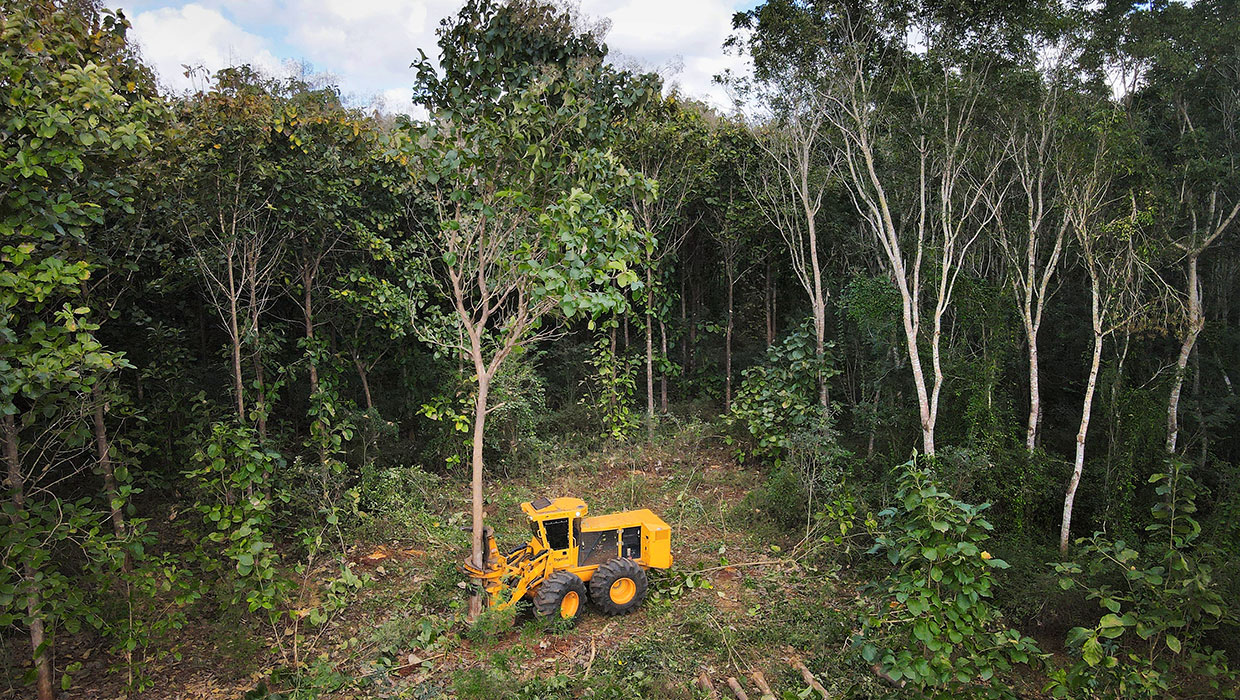 Image of a Mackolines Machines & Hire 720G wheel feller buncher working in the field