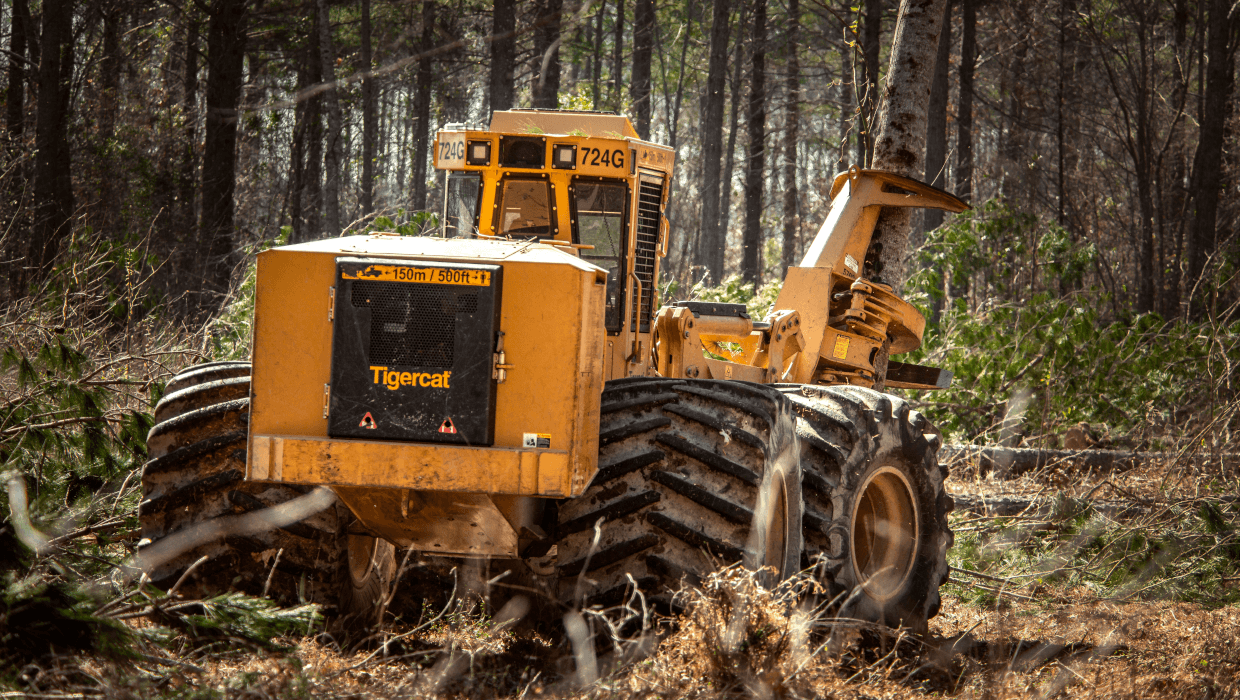 Image of a Mackolines Machines & Hire 724G wheel feller buncher working in the field