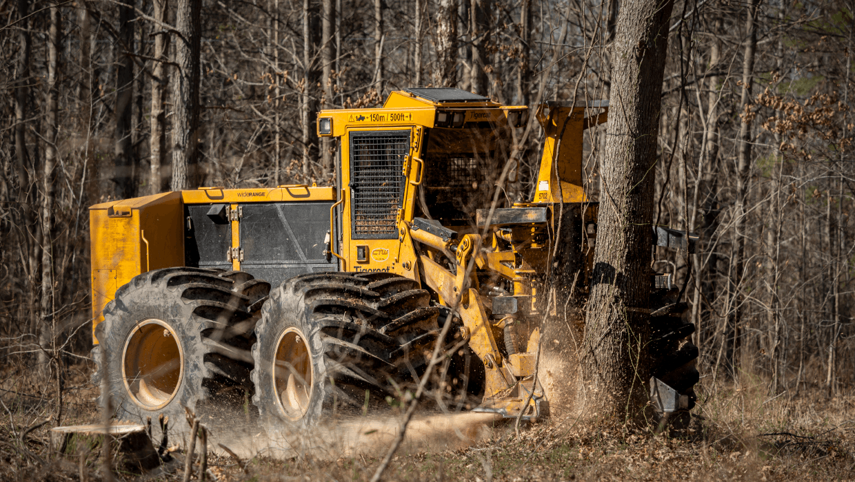 Image of a Mackolines Machines & Hire 724G wheel feller buncher working in the field