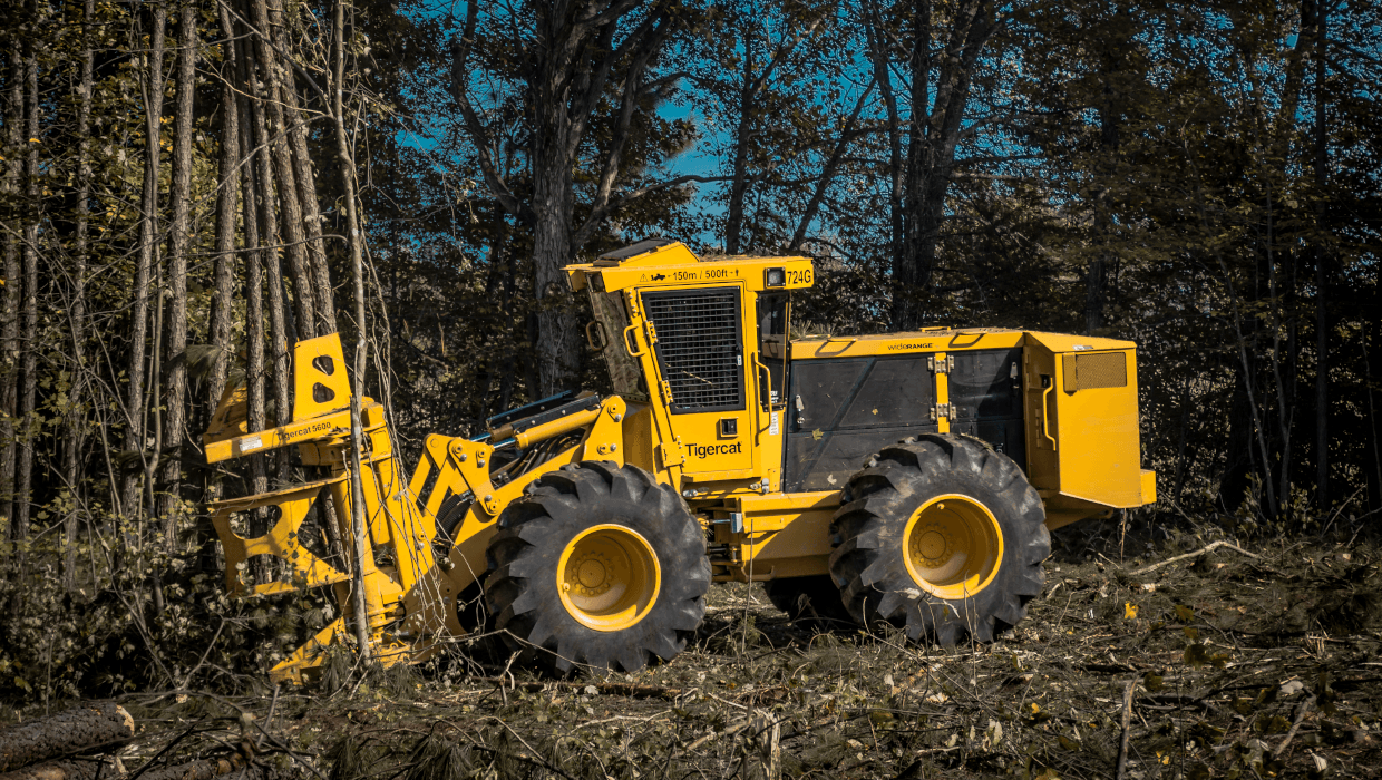 Image of a Mackolines Machines & Hire 724G wheel feller buncher working in the field