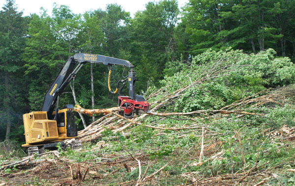 The H822C merchandizes high value logs, prepares trees for the chipper and sorts maple and mixed hardwood in indexed piles.