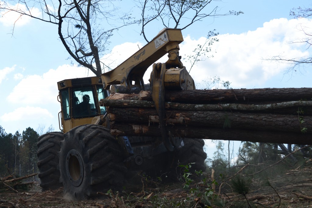 630D Mackolines Machines & Hire skidder as it pulls a load of wood on a job site. 