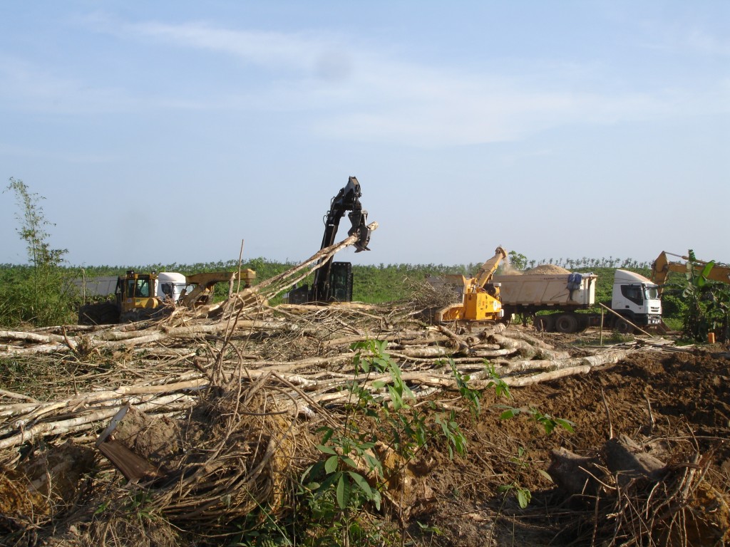 The rubber trees are chipped at roadside. The CBI unit feeds the chips into high capacity walking floor trailers.