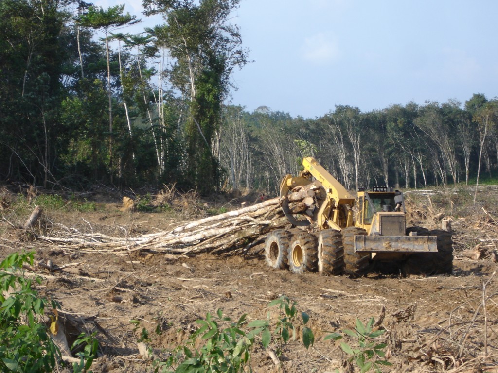 The rear bogie axle and dual tire arrangement allows the 635D to operate consistently in a region with very high rainfall.