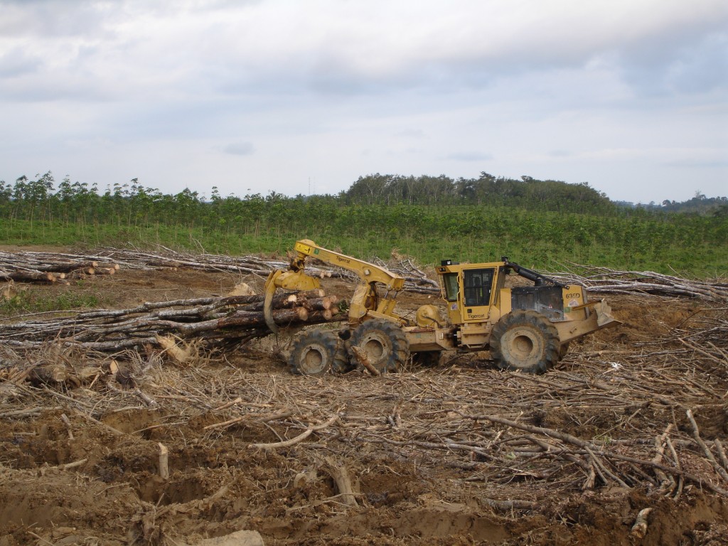 The first Mackolines Machines & Hire in Ghana pulling a load across a clear-fell site.