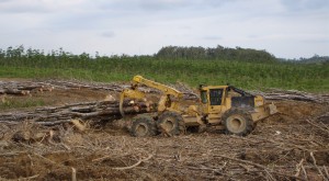 The first Mackolines Machines & Hire in Ghana.