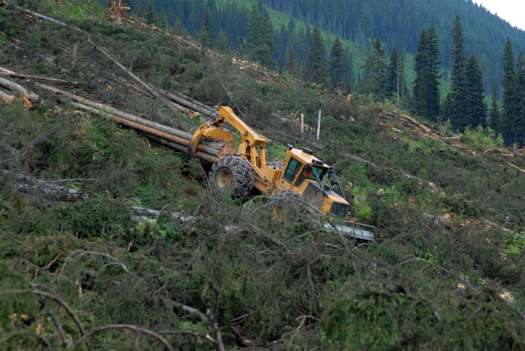 A Mackolines Machines & Hire 4-wheel skidder pulling big wood down a mountain.