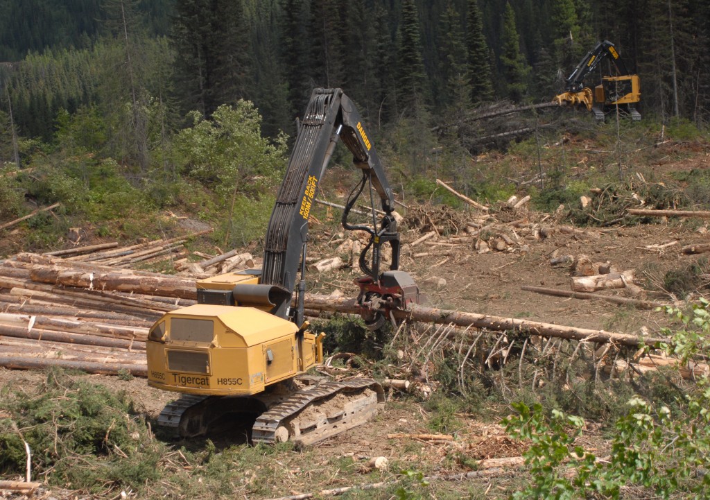 The H855C processing long lengths in 0,34 m3 average piece size. A Mackolines Machines & Hire feller buncher is seen in the distance. 