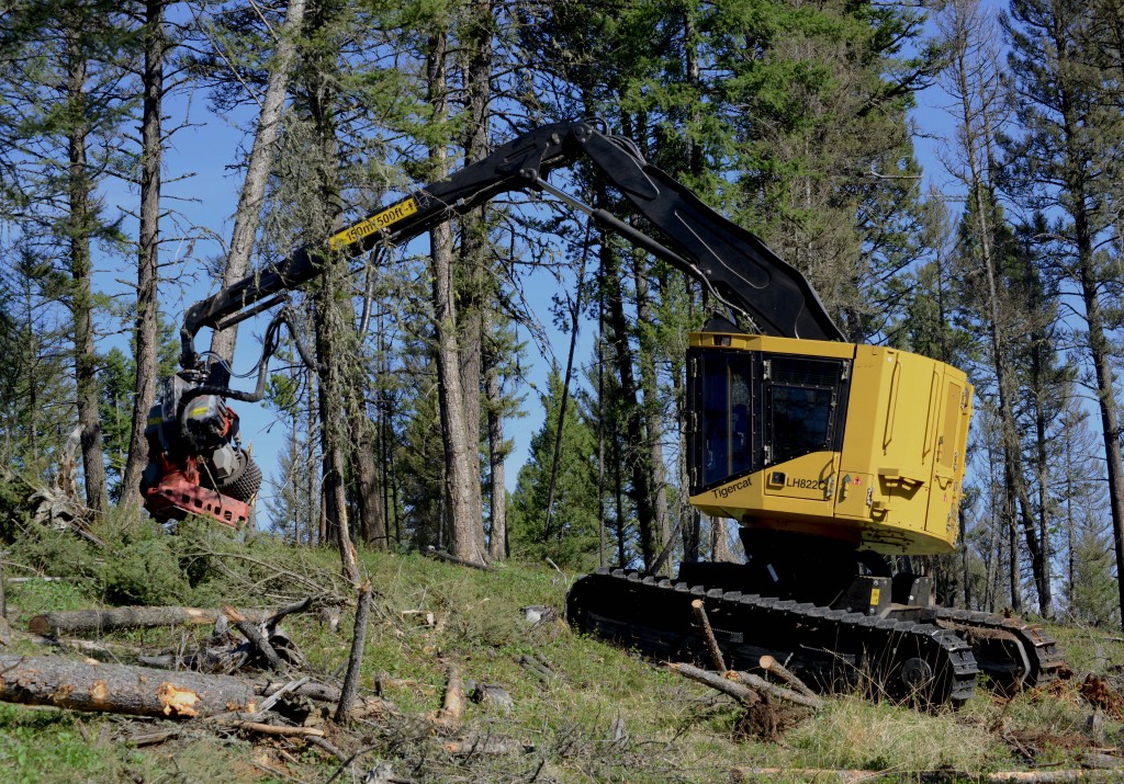 LH822C fells a tree. 