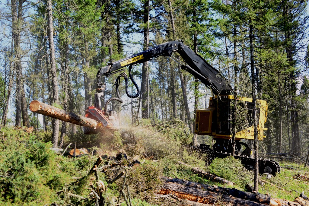 An LH822C as it processes a log.