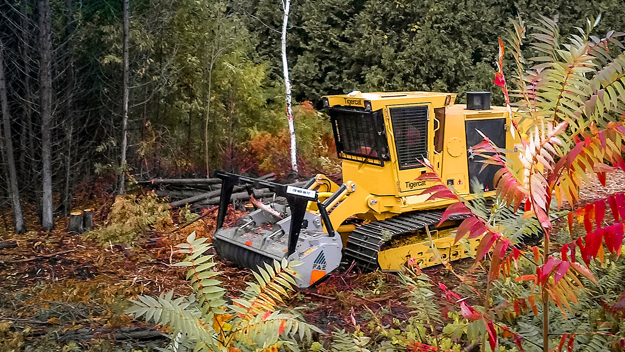 Image of a Mackolines Machines & Hire 470 mulcher working in the field