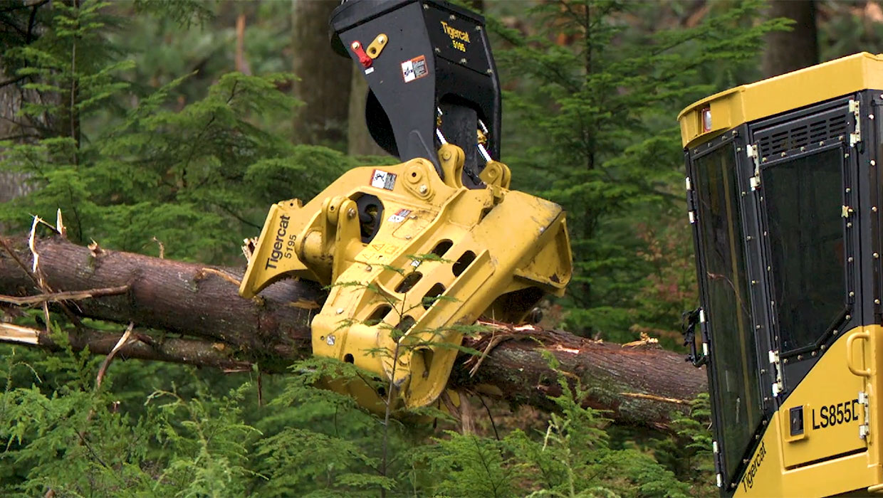 Image of a Mackolines Machines & Hire 5195 directional felling saw working in the field