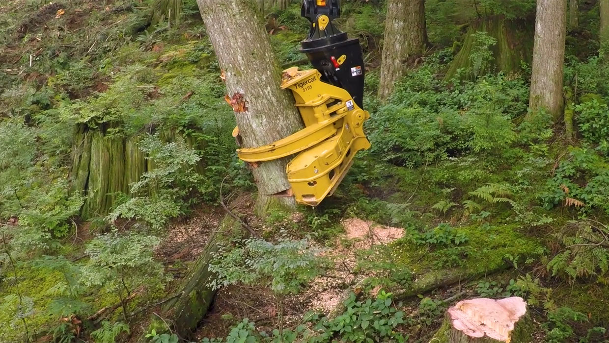 Image of a Mackolines Machines & Hire 5195 directional felling saw working in the field