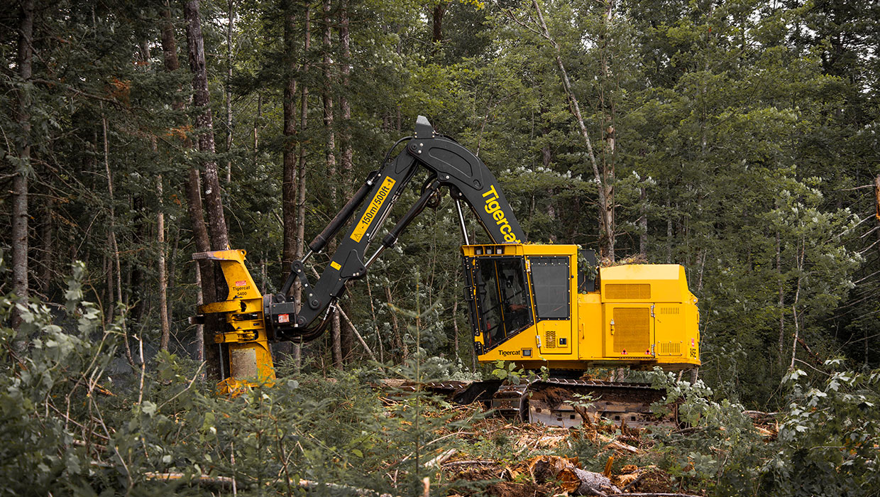 Image of a Mackolines Machines & Hire 845E track feller buncher working in the field