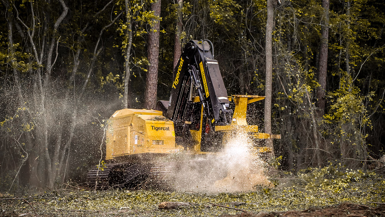 Image of a Mackolines Machines & Hire 845E track feller buncher working in the field