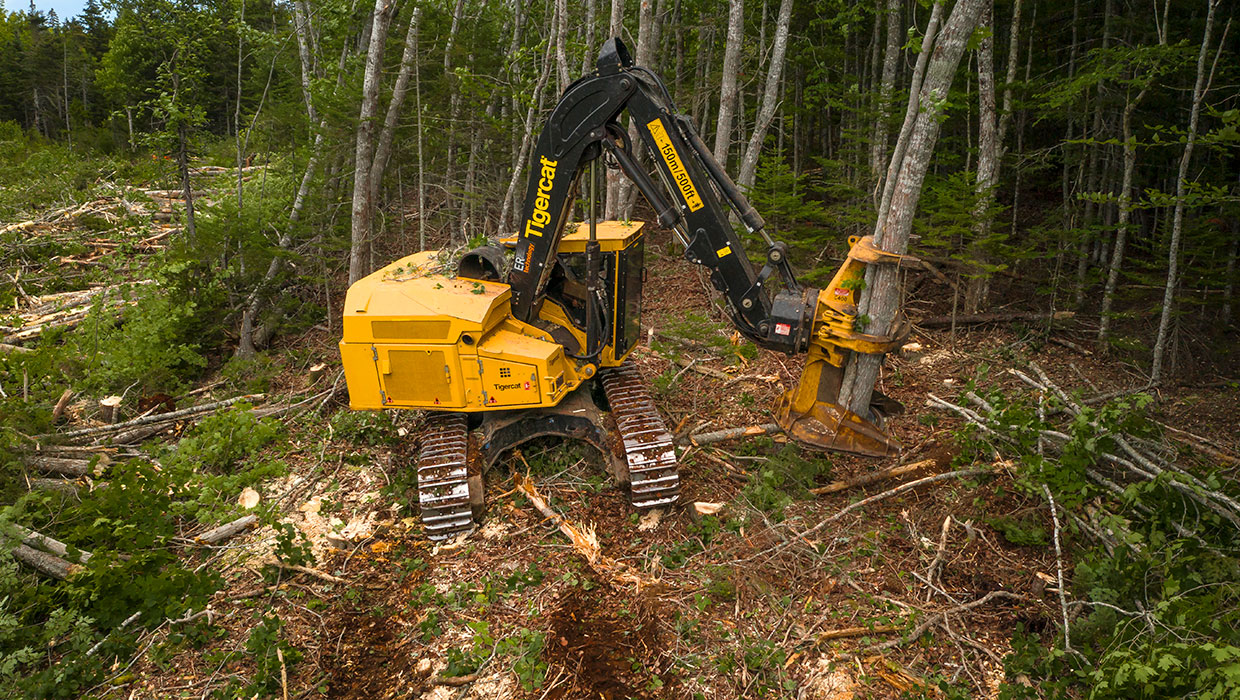 Image of a Mackolines Machines & Hire 845E track feller buncher working in the field