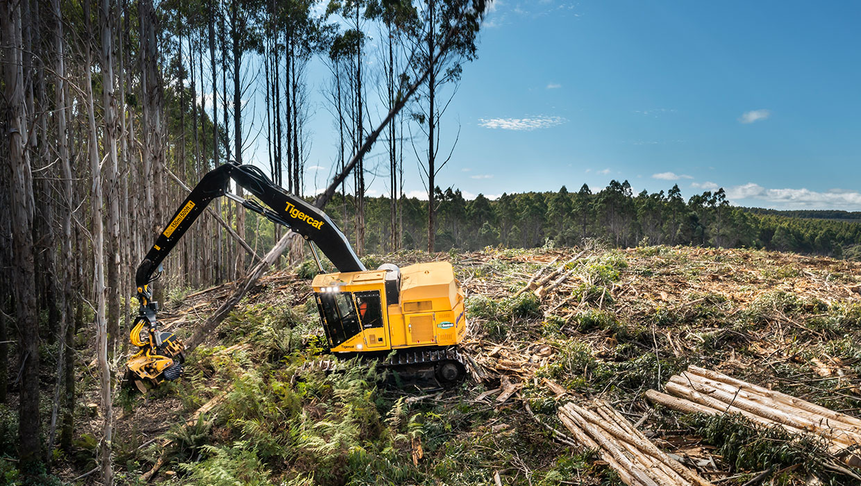 Image of a Mackolines Machines & Hire H845E harvester working in the field