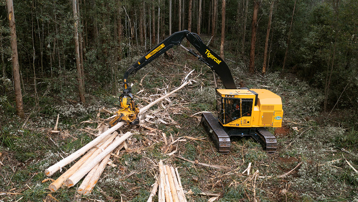 Image of a Mackolines Machines & Hire H845E harvester working in the field