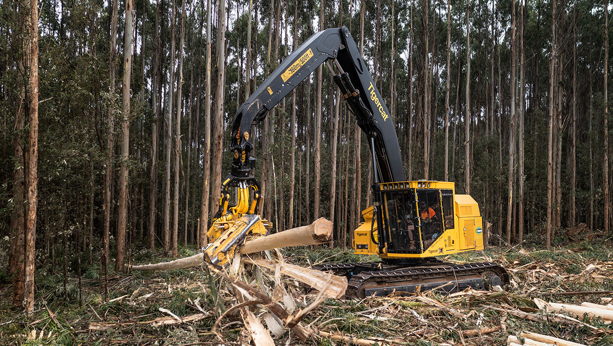 Image of a Mackolines Machines & Hire H845E harvester working in the field