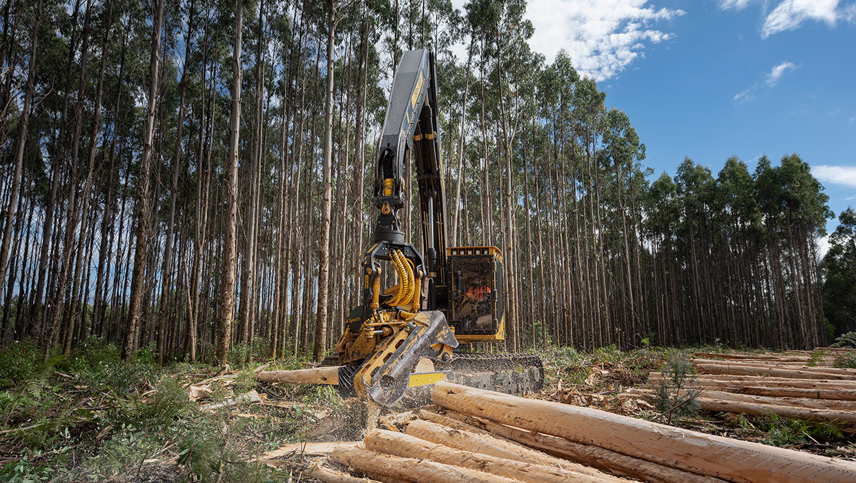 Image of a Mackolines Machines & Hire H845E harvester working in the field