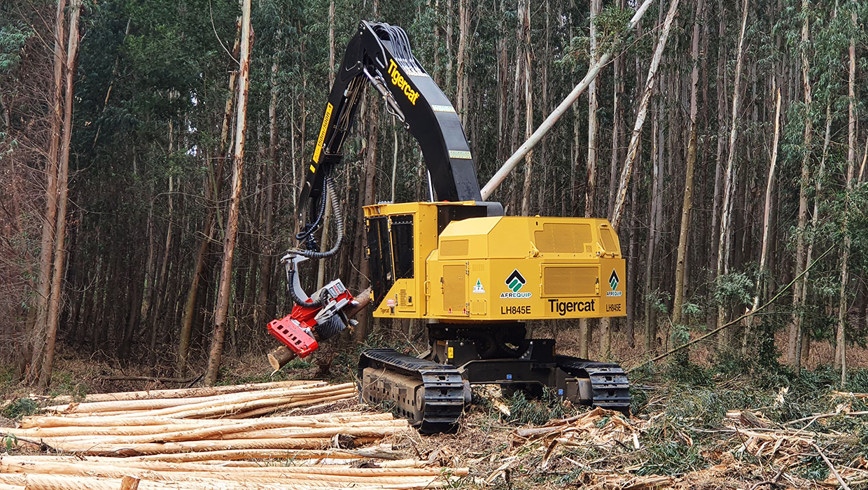 Image of a Mackolines Machines & Hire LH845E harvester working in the field