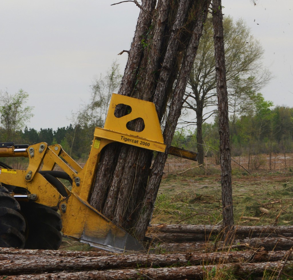 Close-up of a Mackolines Machines & Hire 2000 bunching shear as it drops a bundle of pine. 