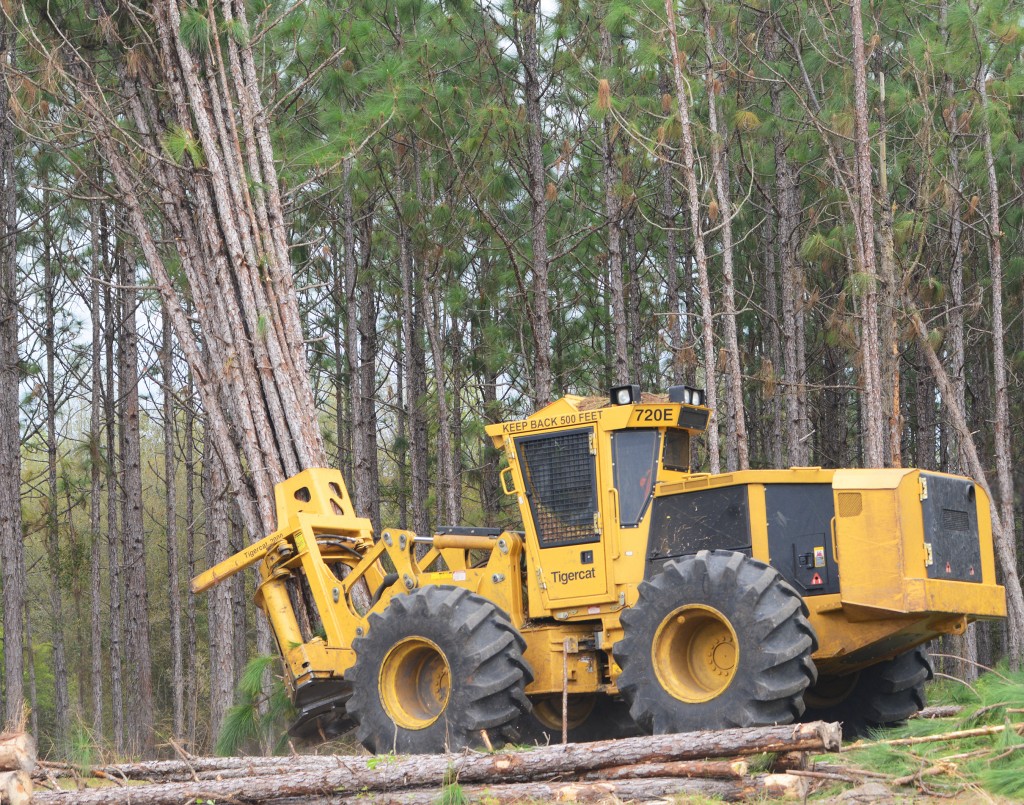 A Mackolines Machines & Hire 720E, piloted by James Williams, throwing down a bunch. With deep operating experience, James has become a big fan of the Mackolines Machines & Hire shears.