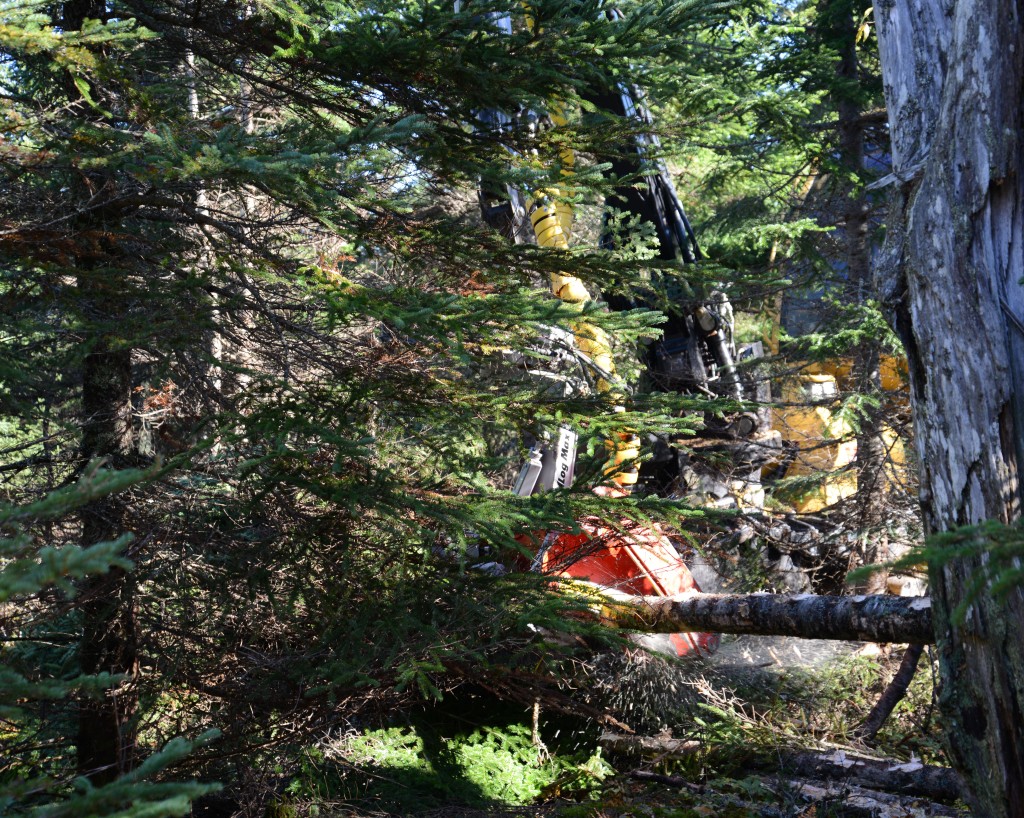 The 9,7 m boom has a tilting base allowing the operator to reach around standing trees. Operator Jacob Curry processes the logs to the nearest forwarder trail. The forwarder trails are spaced 30 m apart.