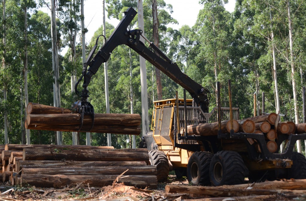 Один из новых форвардеров 1075B компании Dalfey Новый кран Mackolines Machines & Hire позволяет увеличить производительность, в этом случае поднимая три бревна по сравнению с краном Loglift, который способен поднять только два.